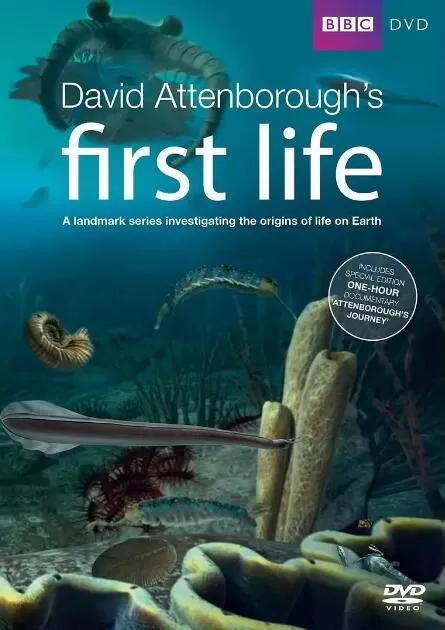 [生命的起源 First Life]纪录片 英语英字 1080P下载