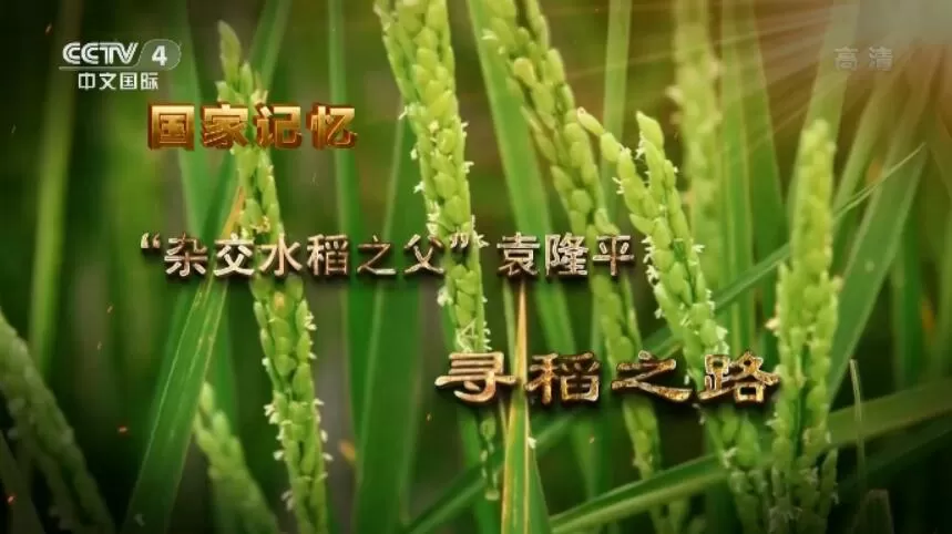 [国家记忆："杂交水稻之父"袁隆平][5集][纪录片][国语中字]1080P下载