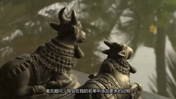 151818bf3w5j55jft3lzf9.jpg