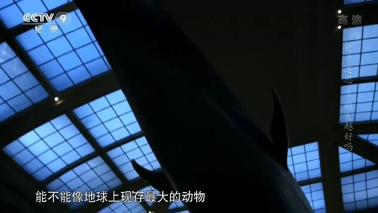 QQ截图20240429151042.jpg