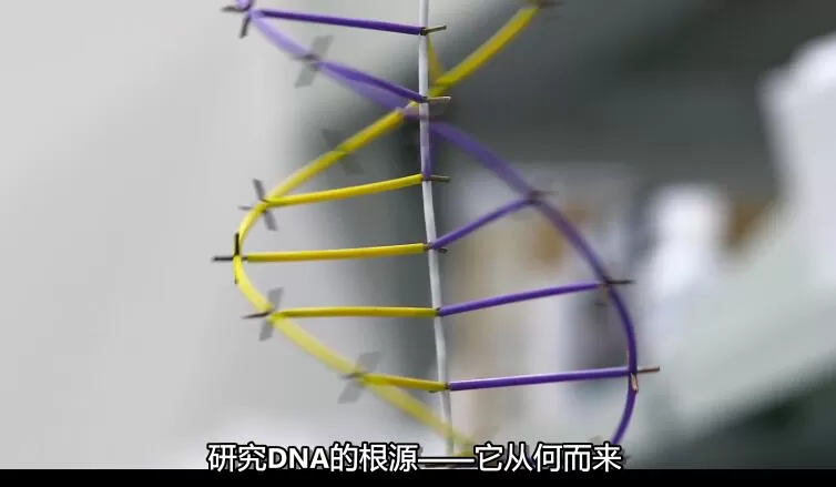 QQ截图20240429130545.jpg
