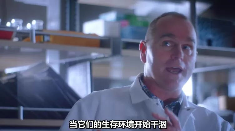 QQ截图20240430151619.jpg