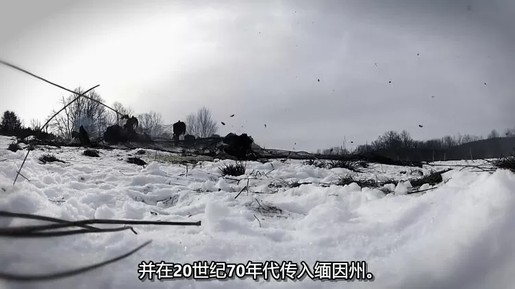 QQ截图20240512163838.jpg