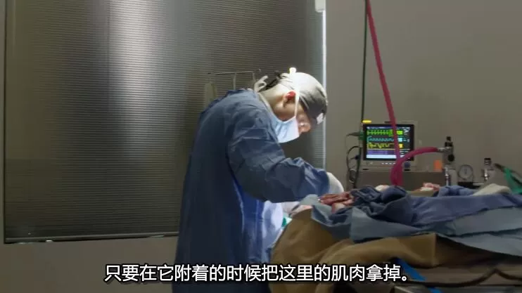 QQ截图20240512160527.jpg