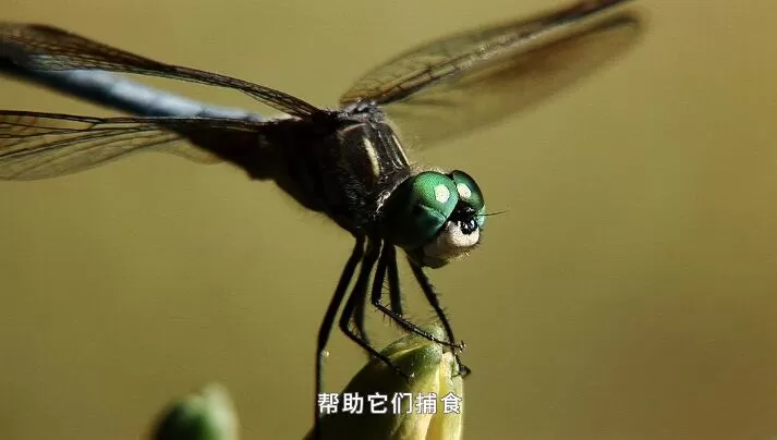 QQ截图20240512162516.jpg
