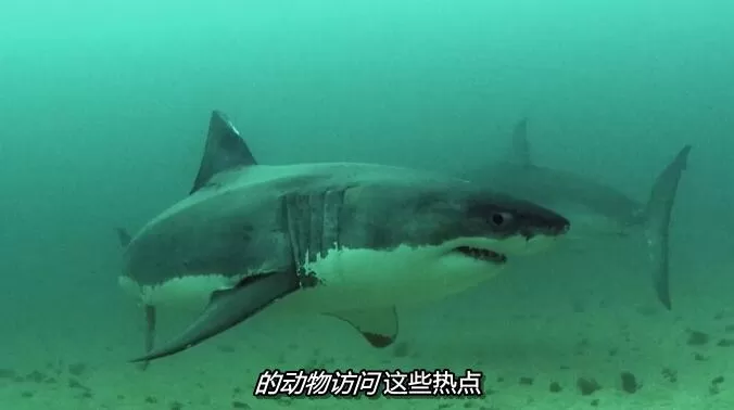 QQ截图20240512161907.jpg