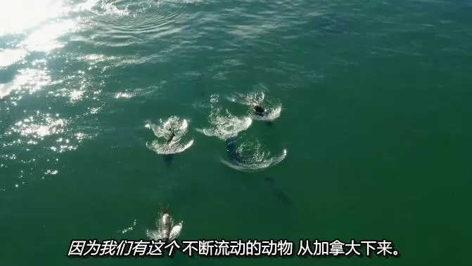 QQ截图20240512161856.jpg