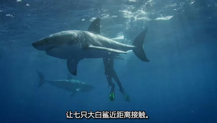 QQ截图20240512130604.jpg