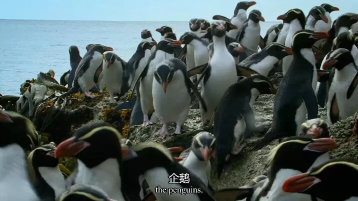QQ截图20240521135753.jpg