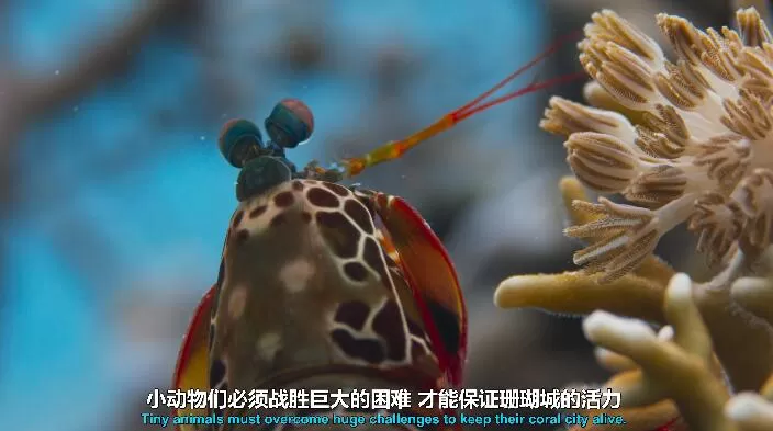 QQ截图20240509155045.jpg