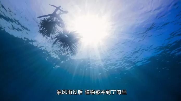 QQ截图20240509154857.jpg