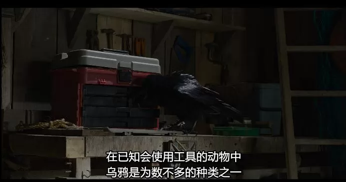QQ截图20240521140137.jpg