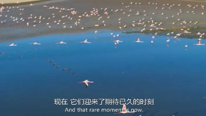 QQ截图20240521140547.jpg