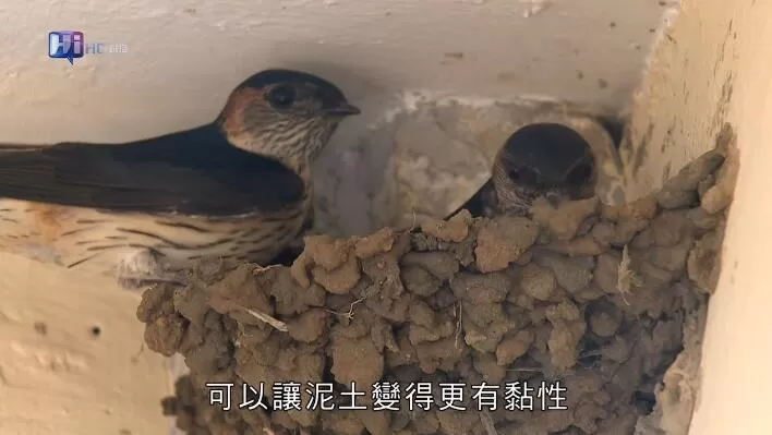 QQ截图20240521155559.jpg