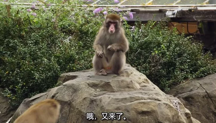 QQ截图20240508151655.jpg