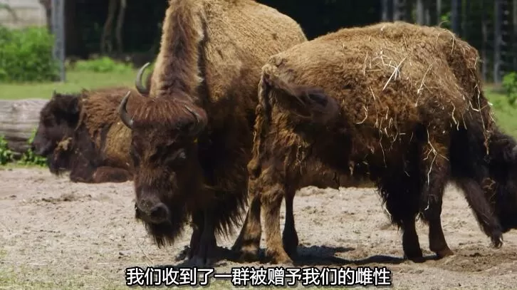 QQ截图20240508151704.jpg