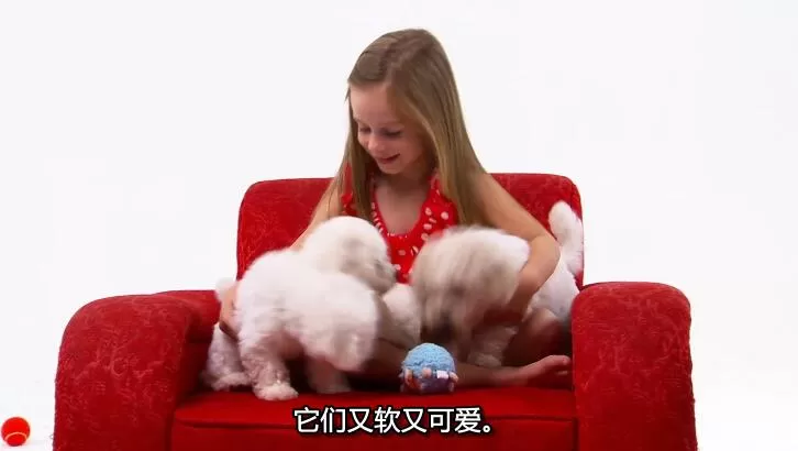 QQ截图20240508150025.jpg