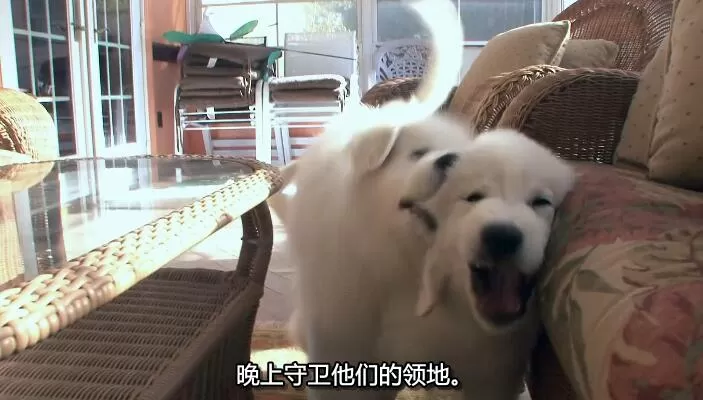 QQ截图20240508145855.jpg
