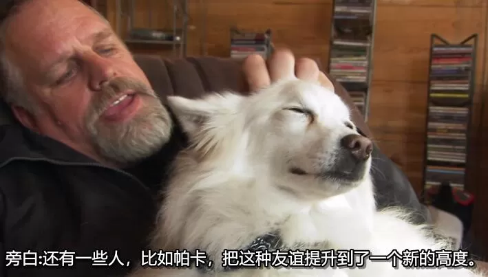 QQ截图20240508145908.jpg