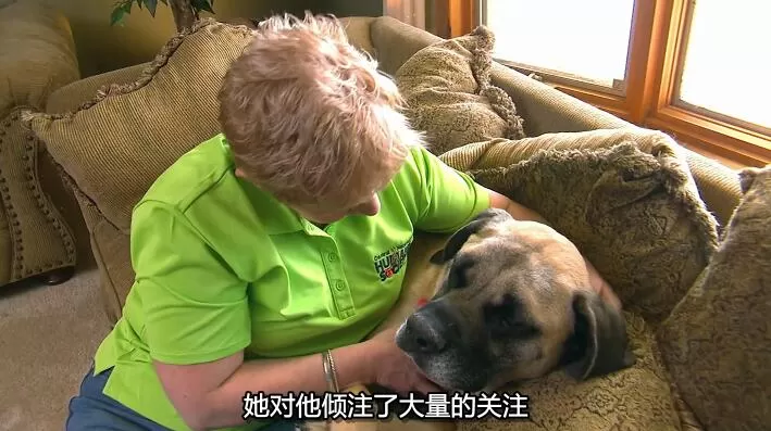 QQ截图20240508145833.jpg