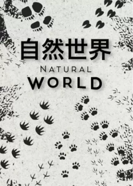 [自然世界2020 Natural World][第一季共5集][BBC][英语配音中文字幕]1080P下载
