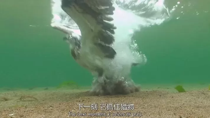 QQ截图20240508153622.jpg