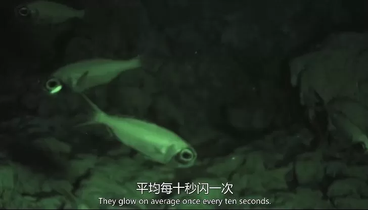 QQ截图20240508153500.jpg
