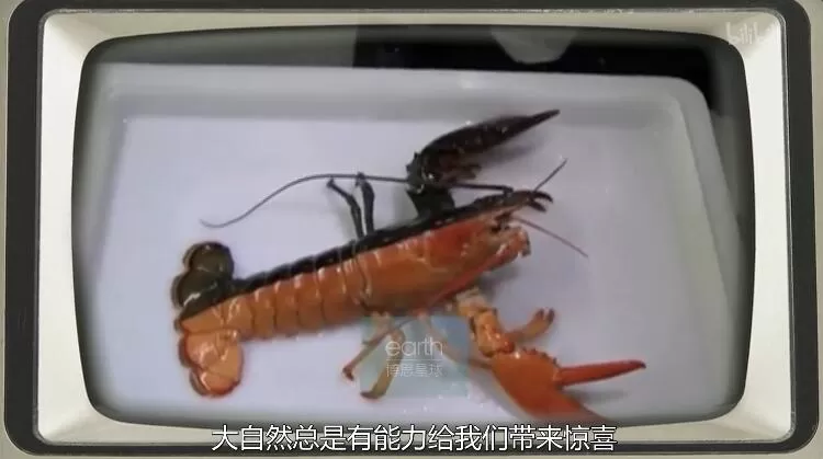 QQ截图20240508155320.jpg