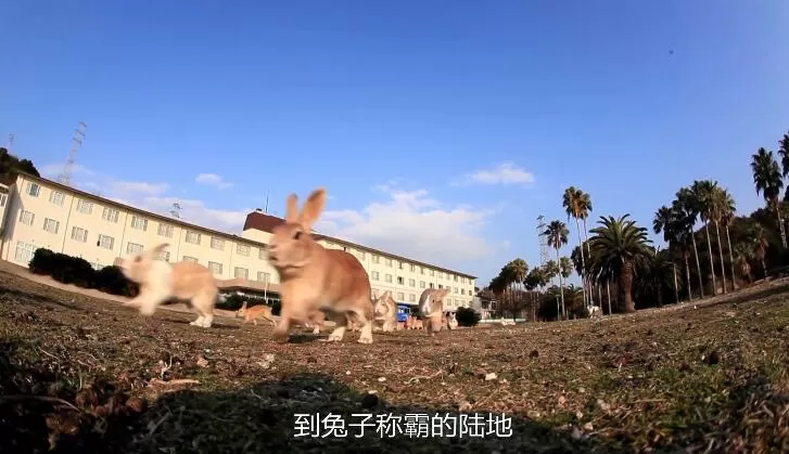 QQ截图20240508155124.jpg