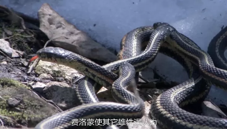 QQ截图20240508155244.jpg