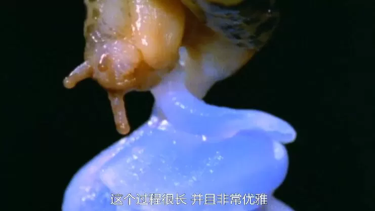 QQ截图20240508155235.jpg