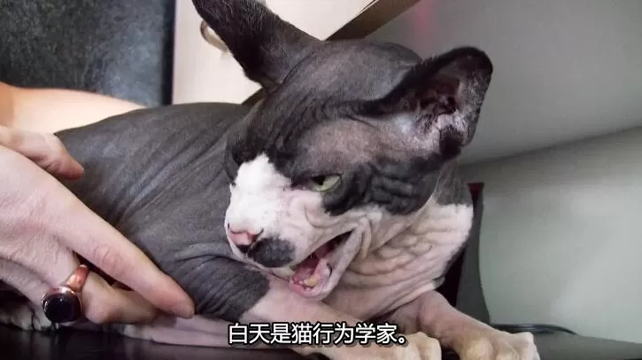 QQ截图20240508143117.jpg