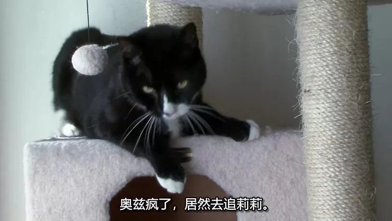 QQ截图20240508142400.jpg