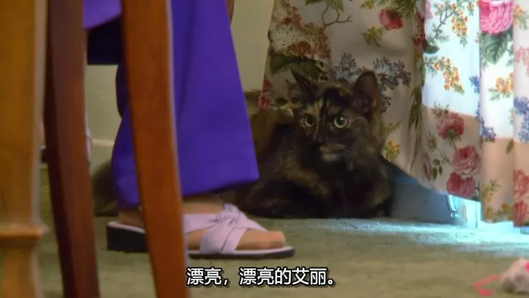 QQ截图20240508142504.jpg