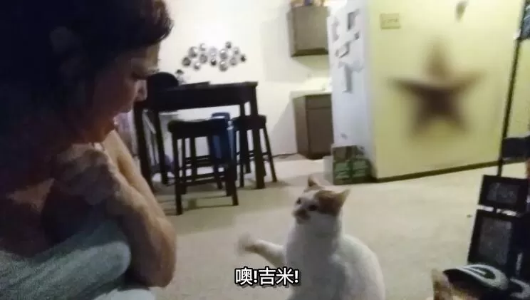 QQ截图20240508143452.jpg