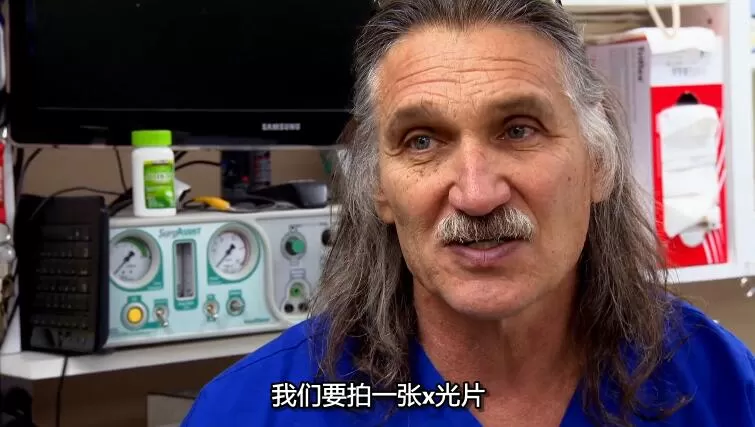 QQ截图20240507142107.jpg