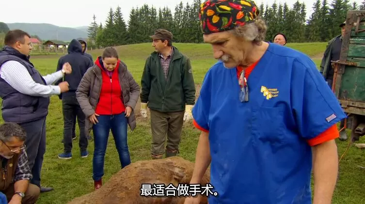 QQ截图20240507141759.jpg