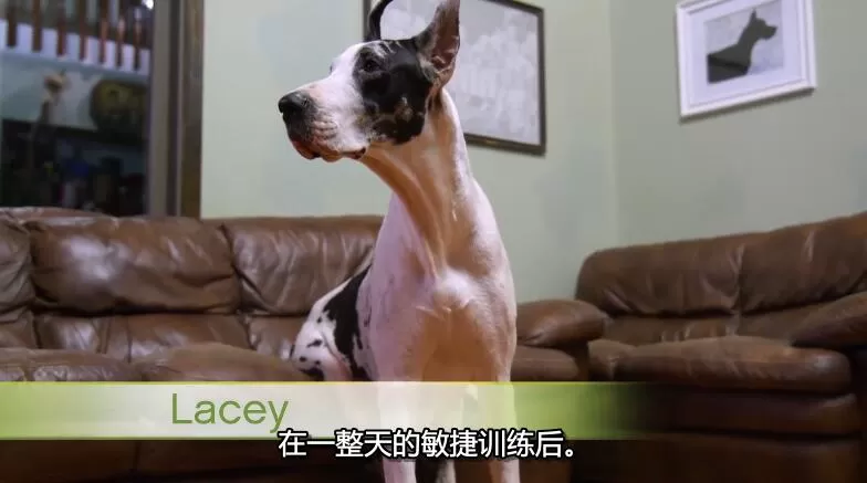 QQ截图20240507150524.jpg
