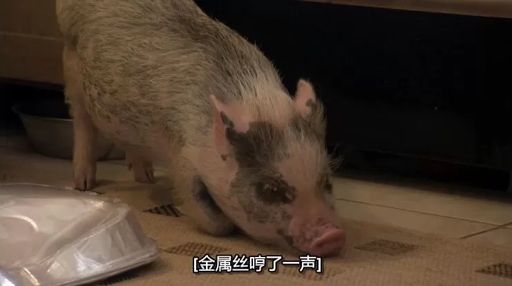 QQ截图20240507150205.jpg