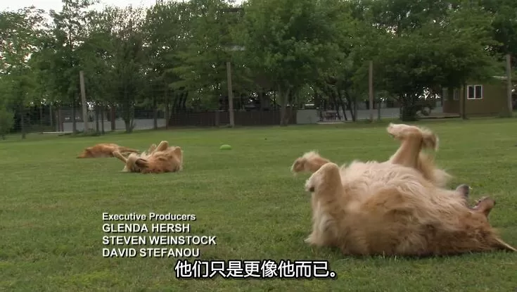 QQ截图20240507150321.jpg