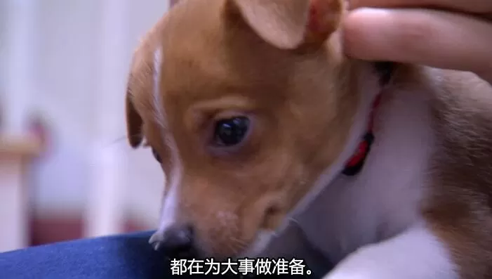 QQ截图20240507145759.jpg