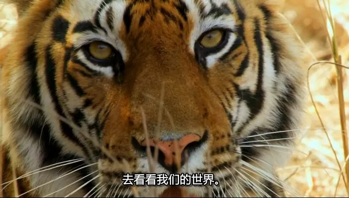 QQ截图20240512154507.jpg