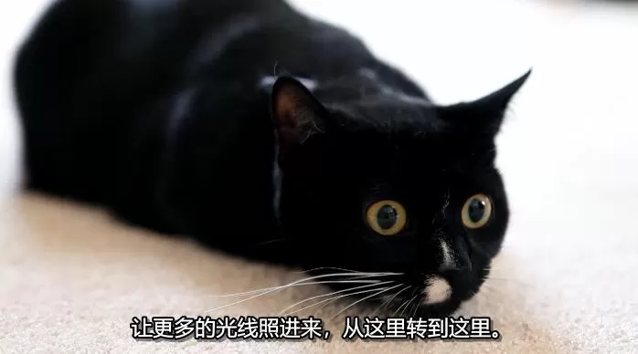QQ截图20240512154516.jpg