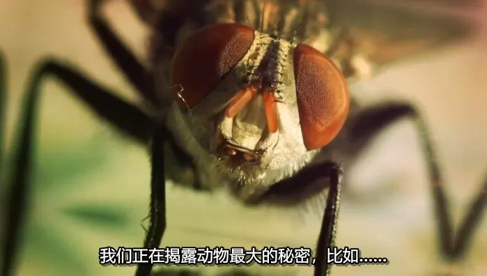 QQ截图20240512154202.jpg