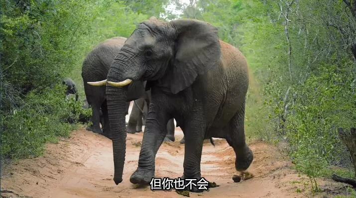 QQ截图20240521154211.jpg