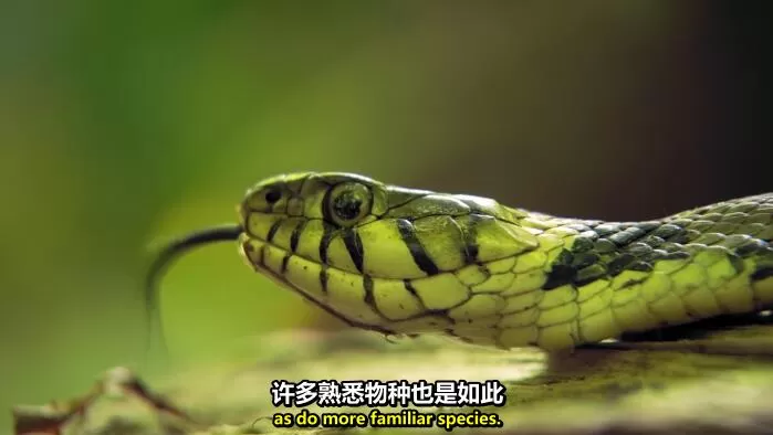 QQ截图20240521154021.jpg