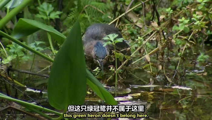 QQ截图20240521154032.jpg