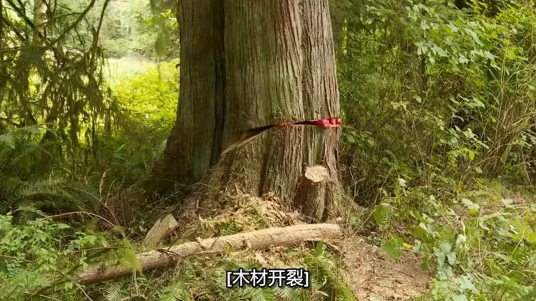QQ截图20240829143716.jpg