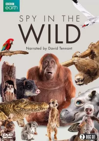 [荒野间谍 Spy in the Wild][第一季全5集][BBC纪录片][英语中字]1080P下载