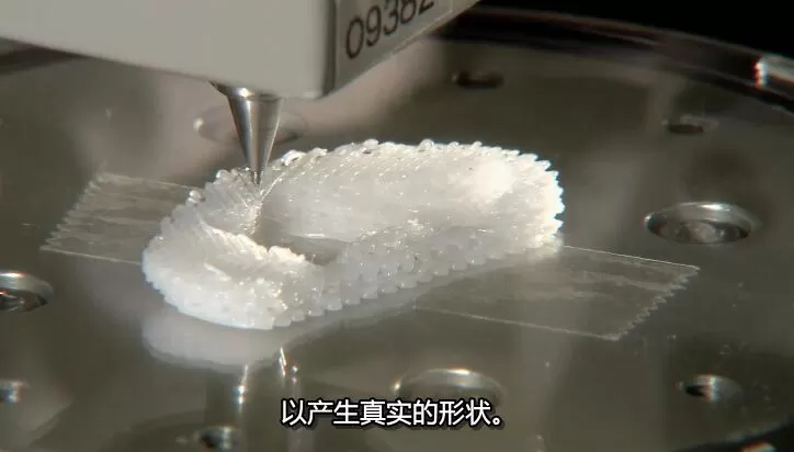 QQ截图20240905160026.jpg